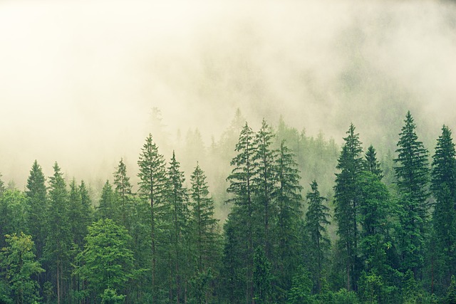 Science of Arboriculture