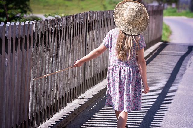 Fence